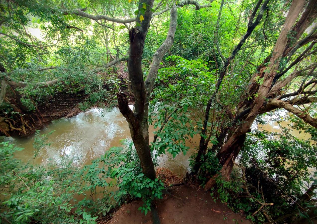 Sigiriya River Side Villa Luaran gambar