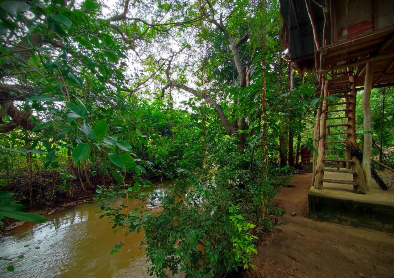 Sigiriya River Side Villa Luaran gambar