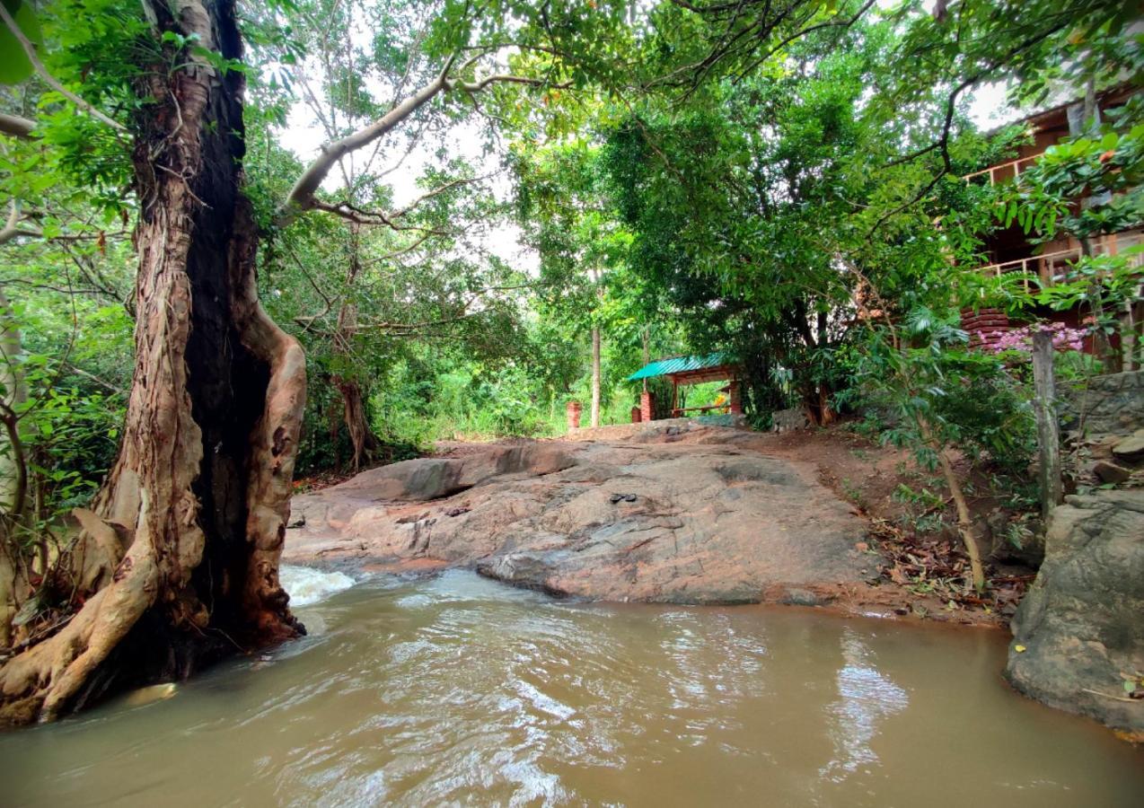 Sigiriya River Side Villa Luaran gambar