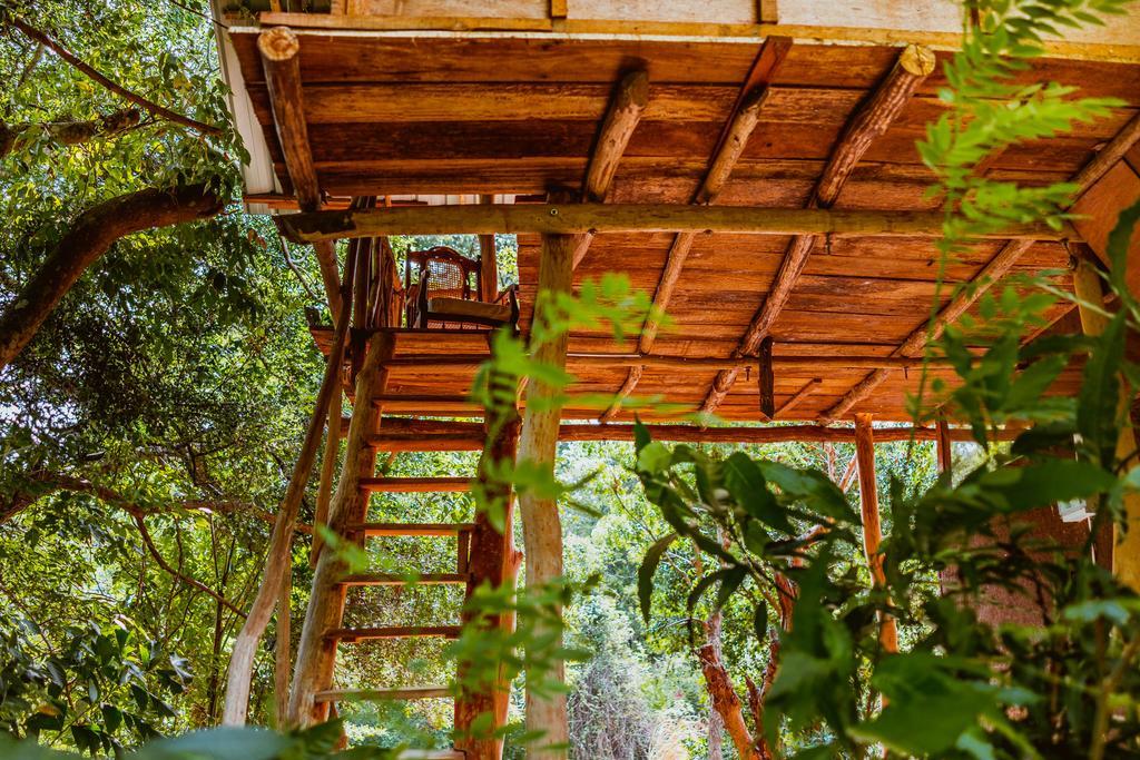 Sigiriya River Side Villa Luaran gambar