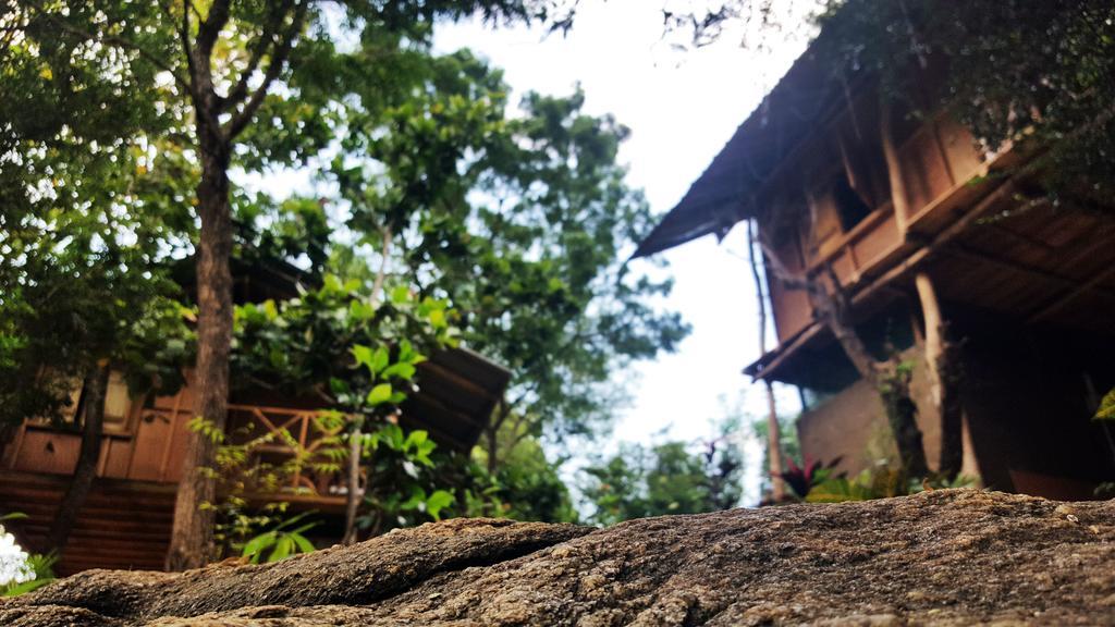 Sigiriya River Side Villa Luaran gambar